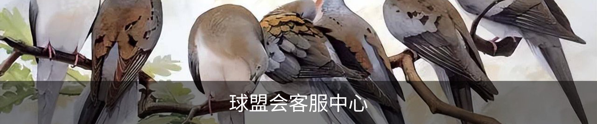 球盟会客服中心