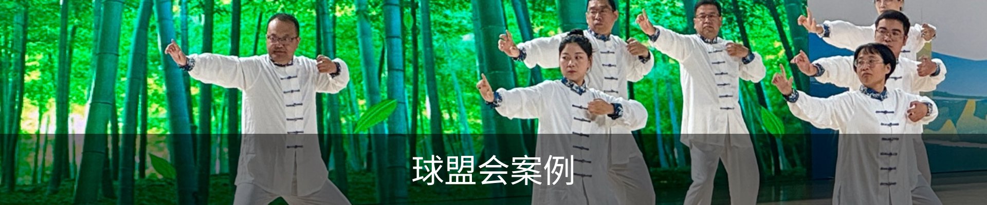 球盟会案例