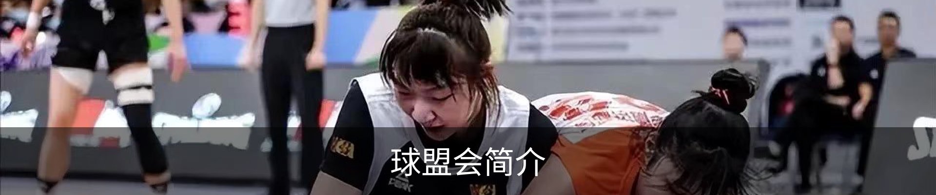 球盟会简介